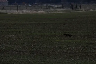 DSC_5869 (Large).JPG